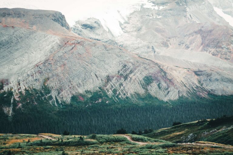 ali-kazal-photo of The icefield of Jasper National Park