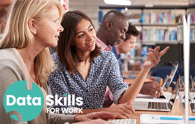 Data skills for work logo plus people learning at computer
