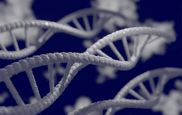 strand of DNA