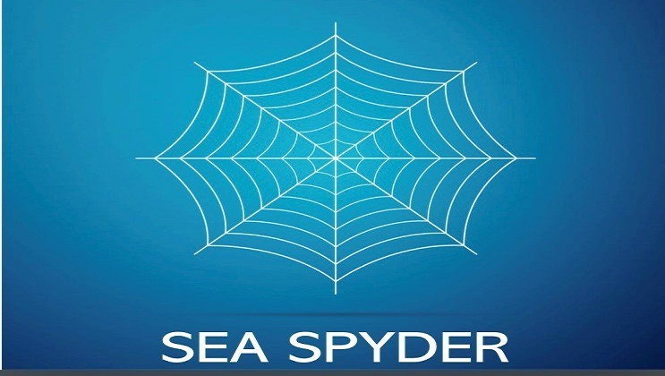 sea spyder logo-whisky market solutions