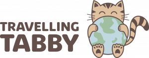 travelling tabby